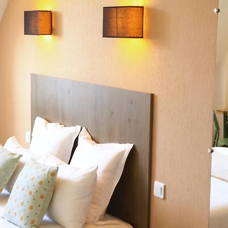 Logis Hotels- Marguerite D'anjou Chateau מלון