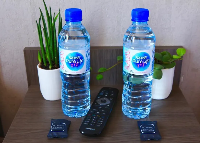 Logis Hotels- Marguerite D'anjou Chateau